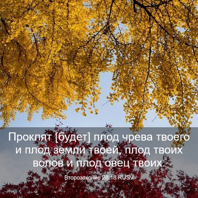 Picture 03 - Второзаконие 28:18 RUSV - Проклят [будет] плод чрева - Bible Verse Picture