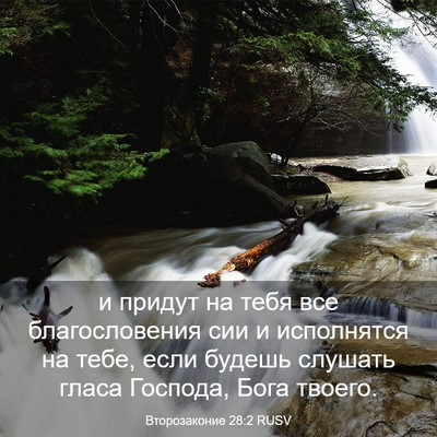 Picture 03 - Второзаконие 28:2 RUSV - и придут на тебя все - Bible Verse Picture