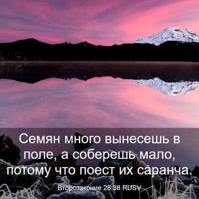 Picture 03 - Второзаконие 28:38 RUSV - Семян много вынесешь в - Bible Verse Picture
