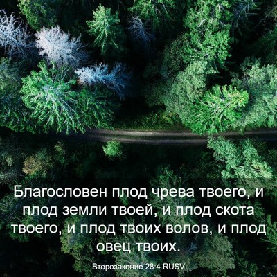 Picture 03 - Второзаконие 28:4 RUSV - Благословен плод чрева - Bible Verse Picture