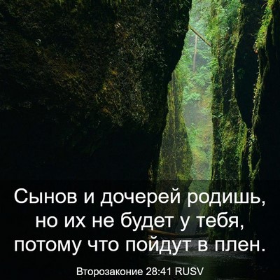 Picture 03 - Второзаконие 28:41 RUSV - Сынов и дочерей родишь, но - Bible Verse Picture