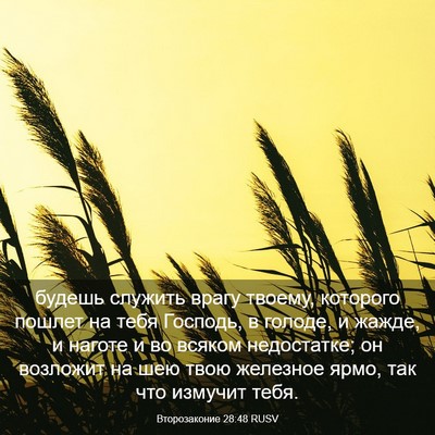 Picture 03 - Второзаконие 28:48 RUSV - будешь служить врагу - Bible Verse Picture
