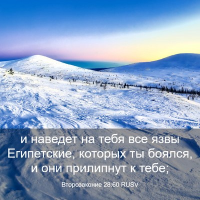 Picture 03 - Второзаконие 28:60 RUSV - и наведет на тебя все язвы - Bible Verse Picture