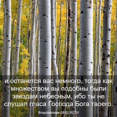 Picture 03 - Второзаконие 28:62 RUSV - и останется вас немного, - Bible Verse Picture