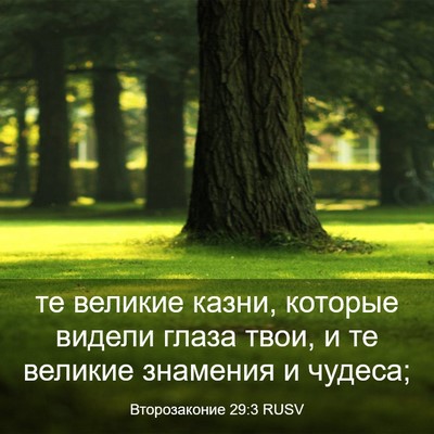 Picture 03 - Второзаконие 29:3 RUSV - те великие казни, которые - Bible Verse Picture