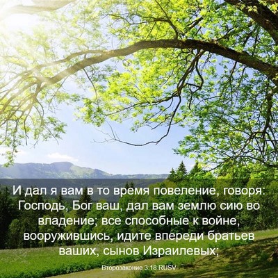 Picture 03 - Второзаконие 3:18 RUSV - И дал я вам в то время - Bible Verse Picture