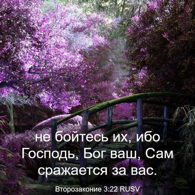 Picture 03 - Второзаконие 3:22 RUSV - не бойтесь их, ибо Господь, - Bible Verse Picture