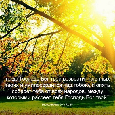 Picture 03 - Второзаконие 30:3 RUSV - тогда Господь Бог твой - Bible Verse Picture