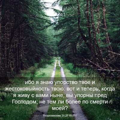 Picture 03 - Второзаконие 31:27 RUSV - ибо я знаю упорство твое и - Bible Verse Picture