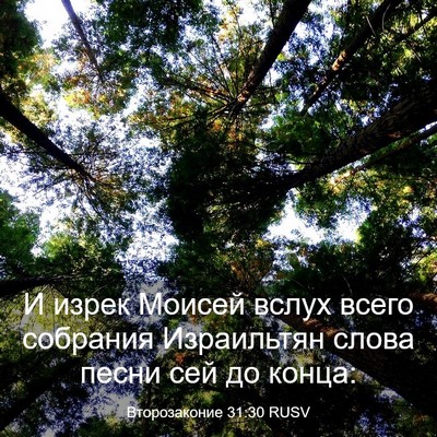 Picture 03 - Второзаконие 31:30 RUSV - И изрек Моисей вслух всего - Bible Verse Picture