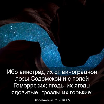 Picture 03 - Второзаконие 32:32 RUSV - Ибо виноград их от - Bible Verse Picture
