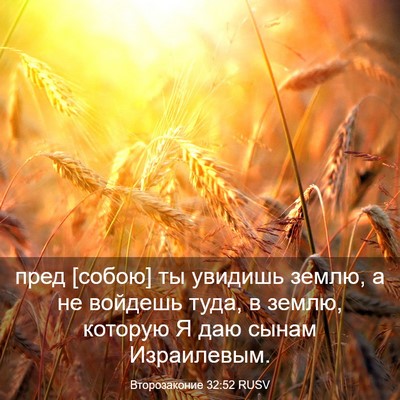 Picture 03 - Второзаконие 32:52 RUSV - пред [собою] ты увидишь - Bible Verse Picture