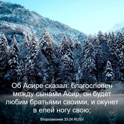 Picture 03 - Второзаконие 33:24 RUSV - Об Асире сказал: - Bible Verse Picture