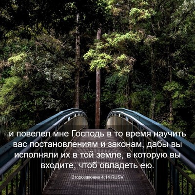 Picture 03 - Второзаконие 4:14 RUSV - и повелел мне Господь в то - Bible Verse Picture