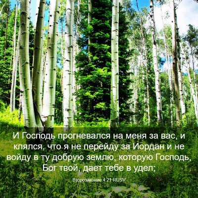 Picture 03 - Второзаконие 4:21 RUSV - И Господь прогневался на - Bible Verse Picture