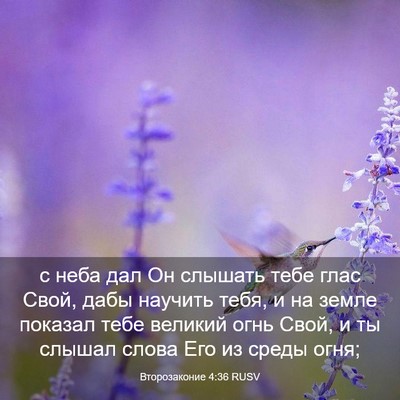 Picture 03 - Второзаконие 4:36 RUSV - с неба дал Он слышать тебе - Bible Verse Picture