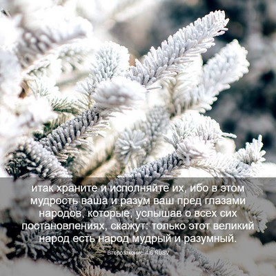 Picture 03 - Второзаконие 4:6 RUSV - итак храните и исполняйте - Bible Verse Picture