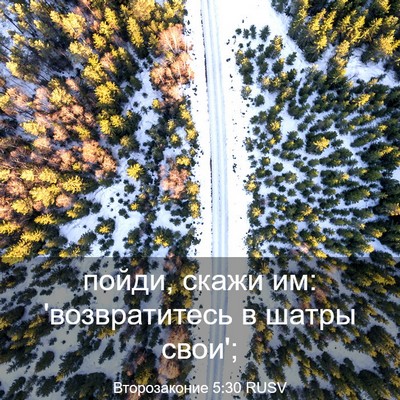 Picture 03 - Второзаконие 5:30 RUSV - пойди, скажи им: - Bible Verse Picture