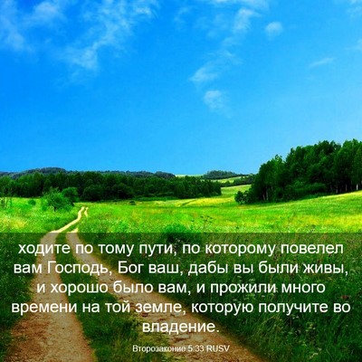 Picture 03 - Второзаконие 5:33 RUSV - ходите по тому пути, по - Bible Verse Picture