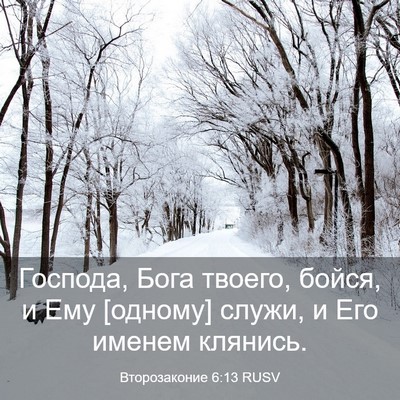 Picture 03 - Второзаконие 6:13 RUSV - Господа, Бога твоего, - Bible Verse Picture
