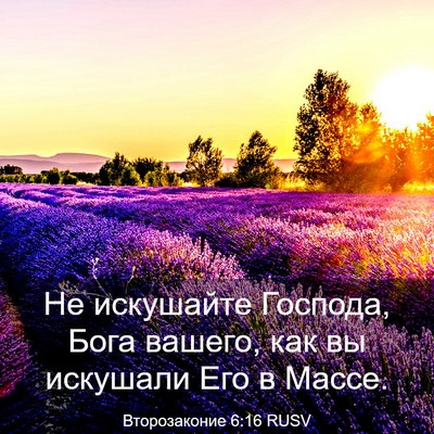 Picture 03 - Второзаконие 6:16 RUSV - Не искушайте Господа, Бога - Bible Verse Picture