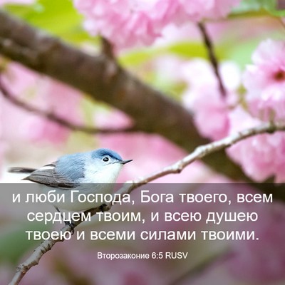 Picture 03 - Второзаконие 6:5 RUSV - и люби Господа, Бога - Bible Verse Picture