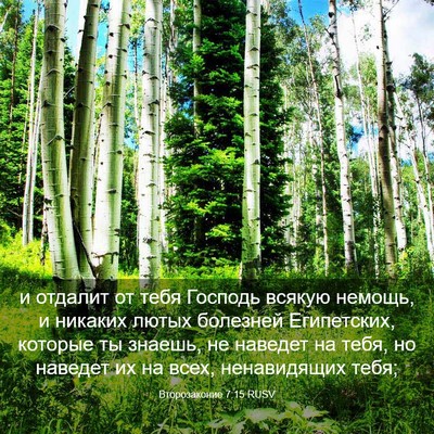 Picture 03 - Второзаконие 7:15 RUSV - и отдалит от тебя Господь - Bible Verse Picture
