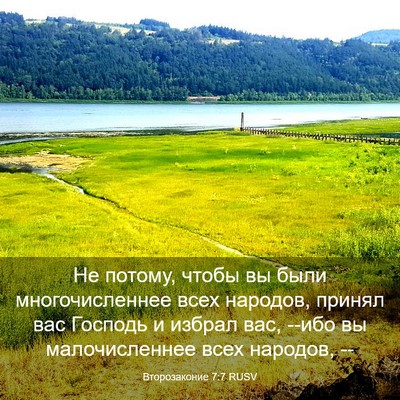 Picture 03 - Второзаконие 7:7 RUSV - Не потому, чтобы вы были - Bible Verse Picture