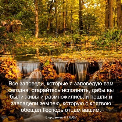 Picture 03 - Второзаконие 8:1 RUSV - Все заповеди, которые я - Bible Verse Picture