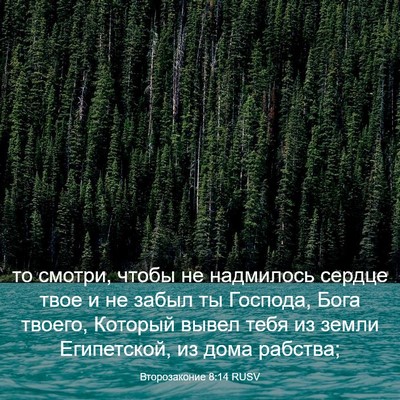 Picture 03 - Второзаконие 8:14 RUSV - то смотри, чтобы не - Bible Verse Picture