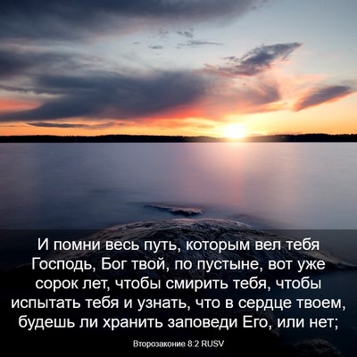 Picture 03 - Второзаконие 8:2 RUSV - И помни весь путь, которым - Bible Verse Picture