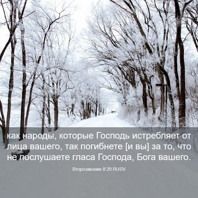 Picture 03 - Второзаконие 8:20 RUSV - как народы, которые - Bible Verse Picture