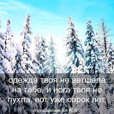 Picture 03 - Второзаконие 8:4 RUSV - одежда твоя не ветшала на - Bible Verse Picture