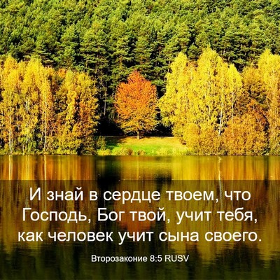 Picture 03 - Второзаконие 8:5 RUSV - И знай в сердце твоем, что - Bible Verse Picture