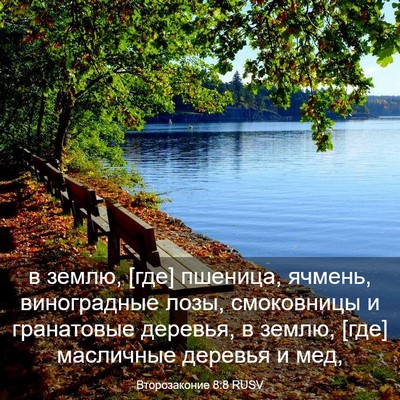 Picture 03 - Второзаконие 8:8 RUSV - в землю, [где] пшеница, - Bible Verse Picture