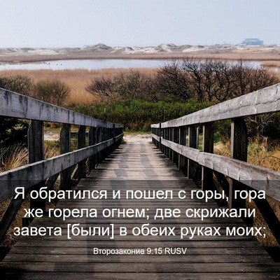 Picture 03 - Второзаконие 9:15 RUSV - Я обратился и пошел с горы, - Bible Verse Picture