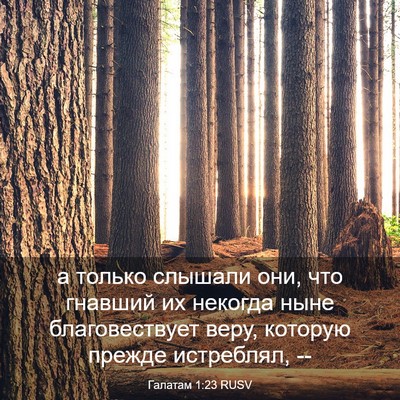 Picture 03 - Галатам 1:23 RUSV - а только слышали они, что - Bible Verse Picture