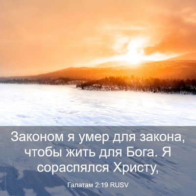 Picture 03 - Галатам 2:19 RUSV - Законом я умер для закона, - Bible Verse Picture