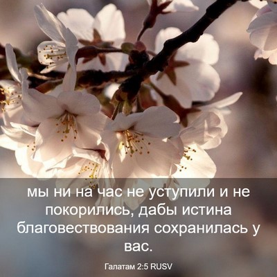 Picture 03 - Галатам 2:5 RUSV - мы ни на час не уступили и - Bible Verse Picture