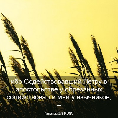 Picture 03 - Галатам 2:8 RUSV - ибо Содействовавший Петру - Bible Verse Picture
