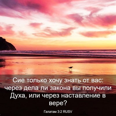Picture 03 - Галатам 3:2 RUSV - Сие только хочу знать от - Bible Verse Picture