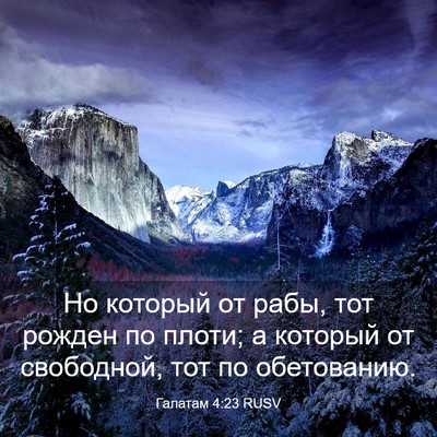 Picture 03 - Галатам 4:23 RUSV - Но который от рабы, тот - Bible Verse Picture