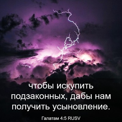 Picture 03 - Галатам 4:5 RUSV - чтобы искупить - Bible Verse Picture