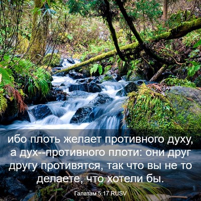 Picture 03 - Галатам 5:17 RUSV - ибо плоть желает - Bible Verse Picture