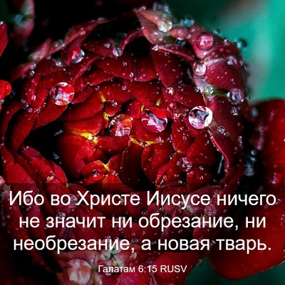 Picture 03 - Галатам 6:15 RUSV - Ибо во Христе Иисусе - Bible Verse Picture