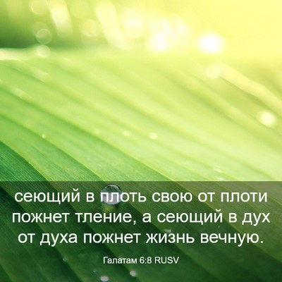 Picture 03 - Галатам 6:8 RUSV - сеющий в плоть свою от - Bible Verse Picture