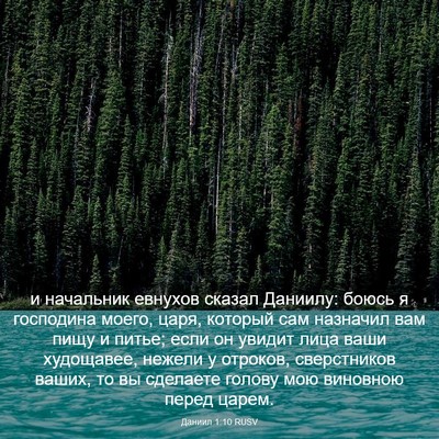 Picture 03 - Даниил 1:10 RUSV - и начальник евнухов сказал - Bible Verse Picture