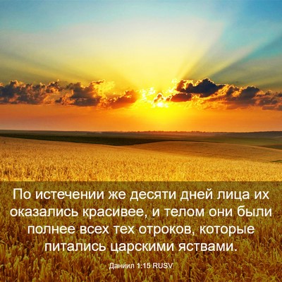 Picture 03 - Даниил 1:15 RUSV - По истечении же десяти - Bible Verse Picture