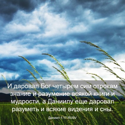 Picture 03 - Даниил 1:17 RUSV - И даровал Бог четырем сим - Bible Verse Picture