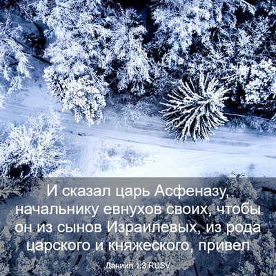 Picture 03 - Даниил 1:3 RUSV - И сказал царь Асфеназу, - Bible Verse Picture